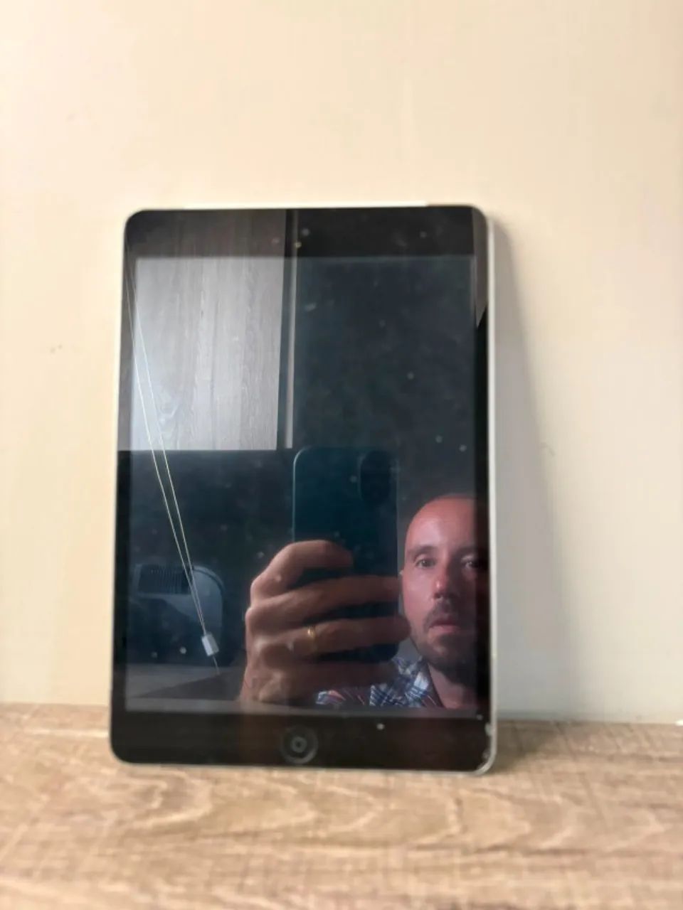 iPad Mini Tela 7.9" Space Gray / Prata 