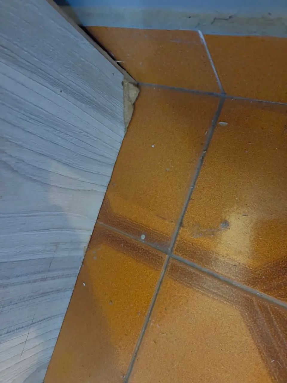 Oportunidade balcão de recepção  - Foto 4