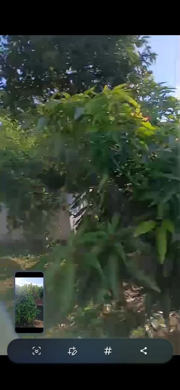 terreno em Bonito pe  - Foto 5
