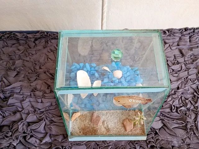Aquario de vidro com decoração, pedraria e tampa. - Foto 4