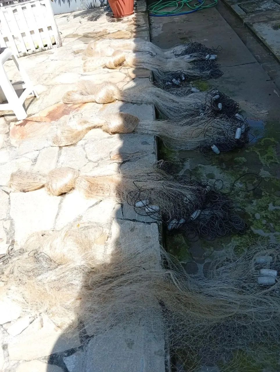 Malhadeiras pesca ? - Foto 2