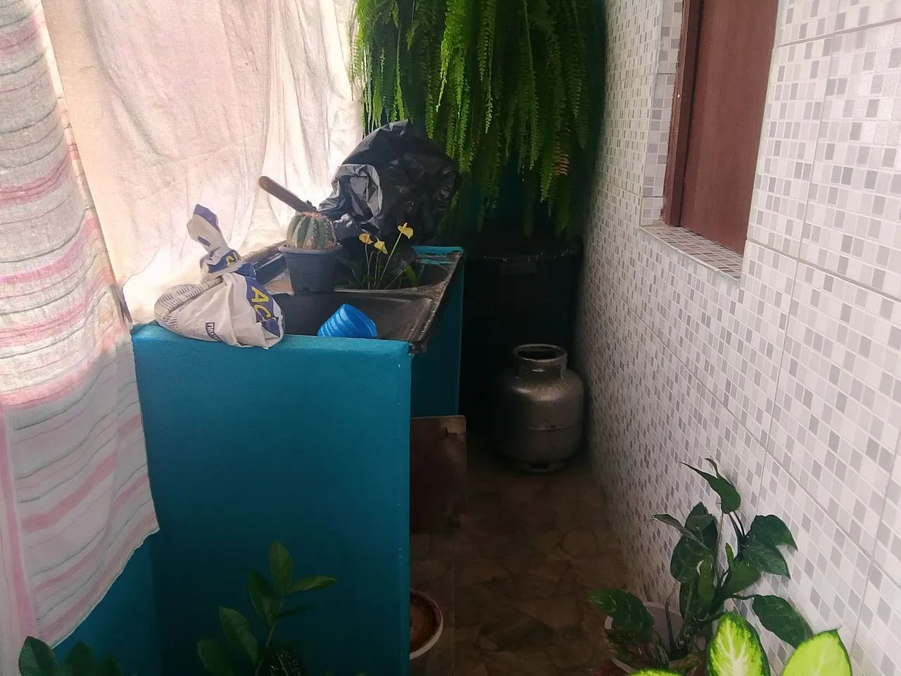 Vendo casa em capela - Foto 4
