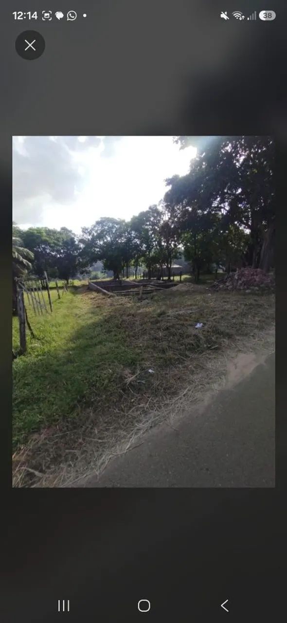 Lote  - Foto 3