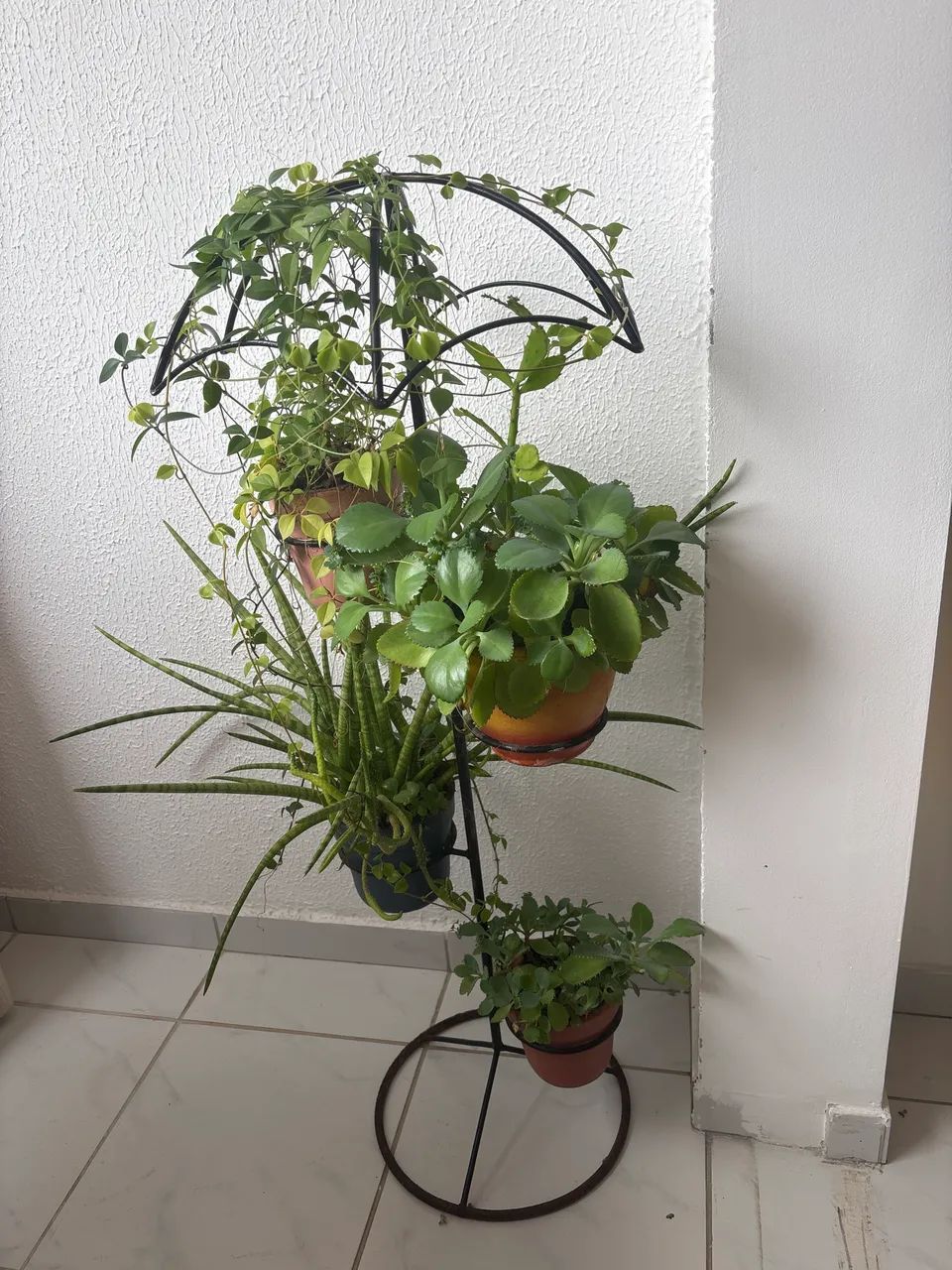 Vendo - Foto 3