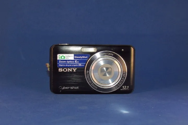 sony dsc wx100