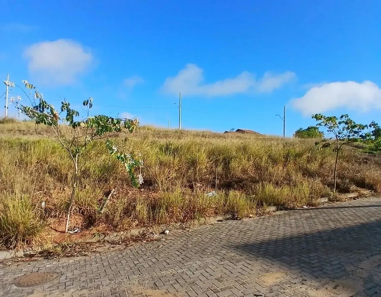  LOTE ALTA VILLE EM ARACRUZ