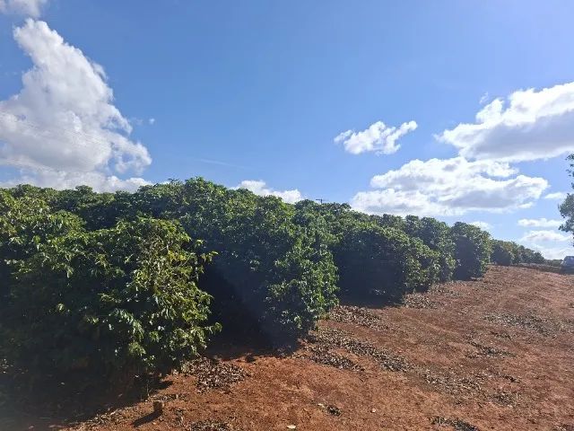 Vende-se chácara a 23 kms de Patrocinio - Foto 2
