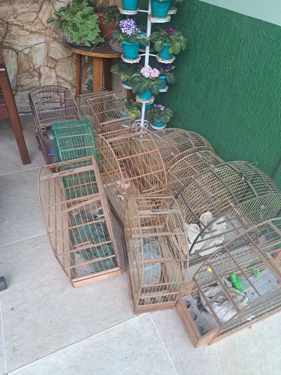 Gaiola Passarinho - Foto 5