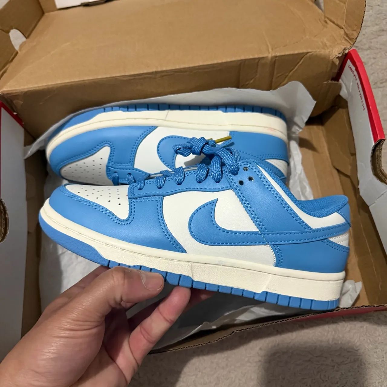 Tenis Nike Dunk Low Feminino 