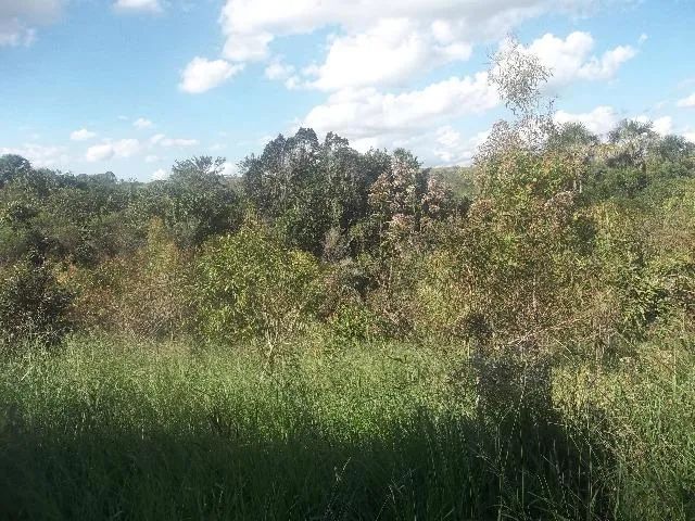 Chácaras em Alexânia - Meio Alqueire - - Foto 2