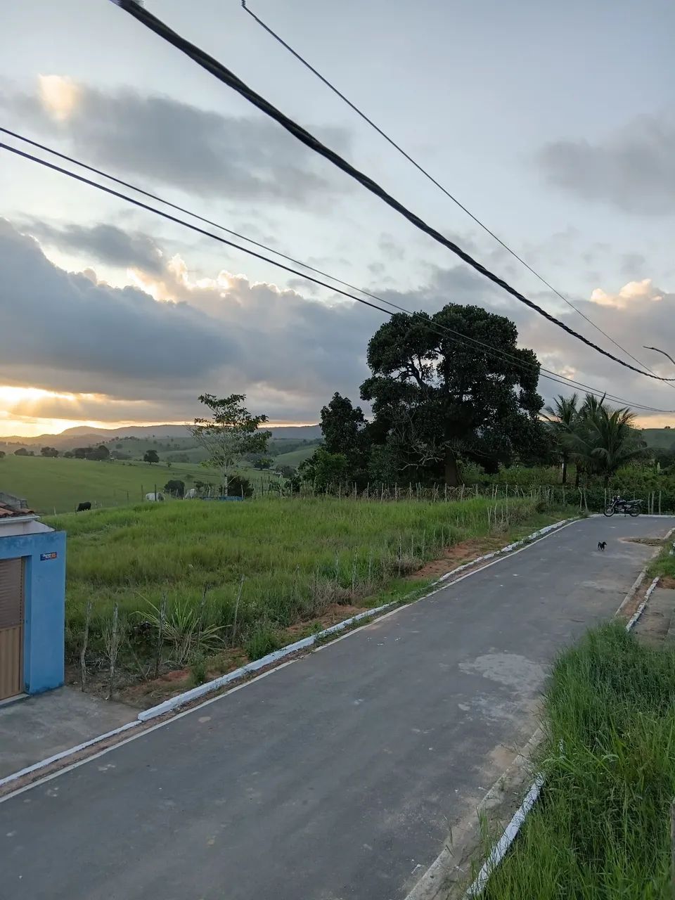 Terreno em Chã Preta - Foto 2