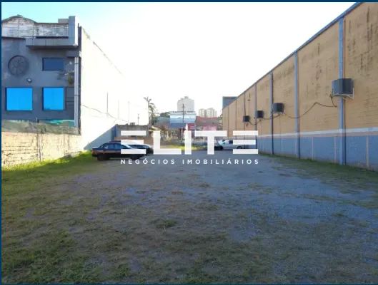 Terreno Comercial para Alugar em Vila Alzira