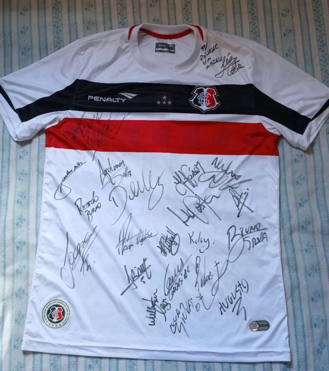 Camisa Oficial Santa Cruz 2017