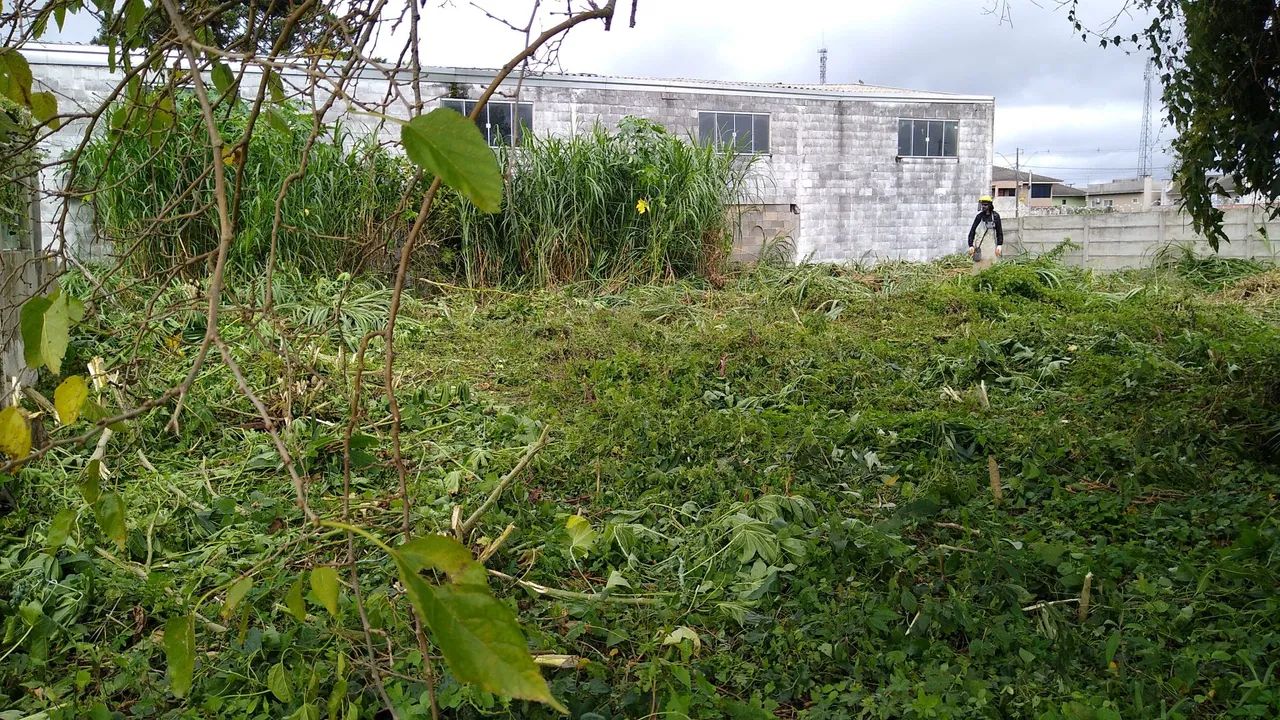 Jardinagem, roçada e podas. - Foto 4