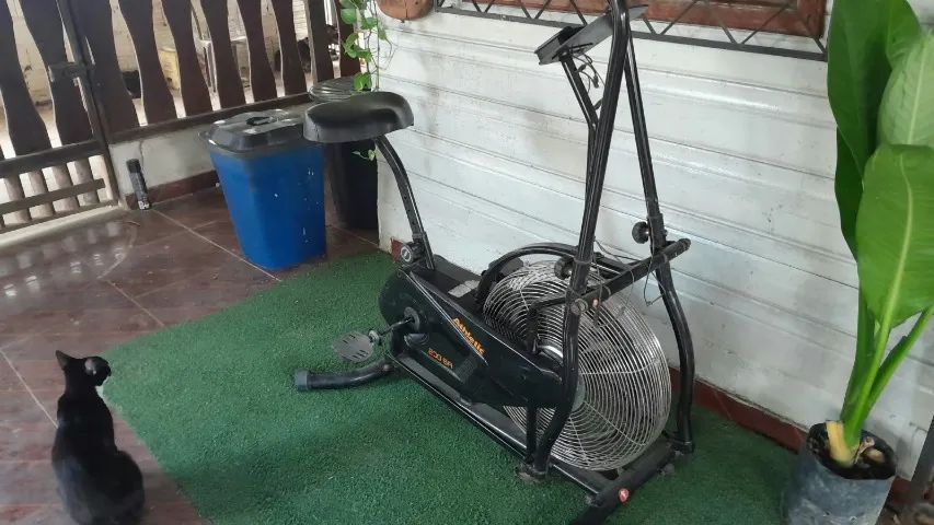 Bicicleta ergométrica