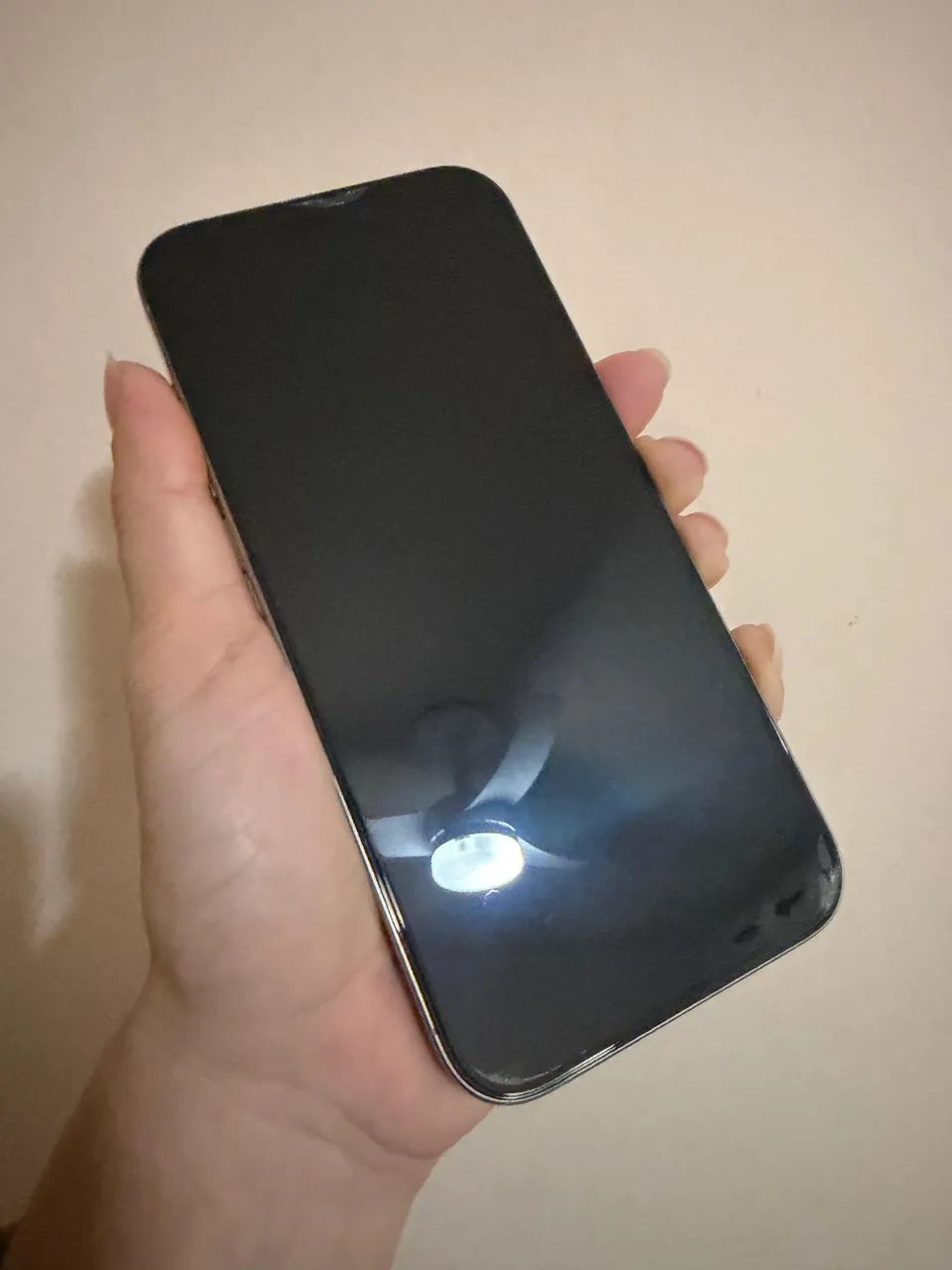iPhone 16 Pro Max 256gb - Titânio natural 