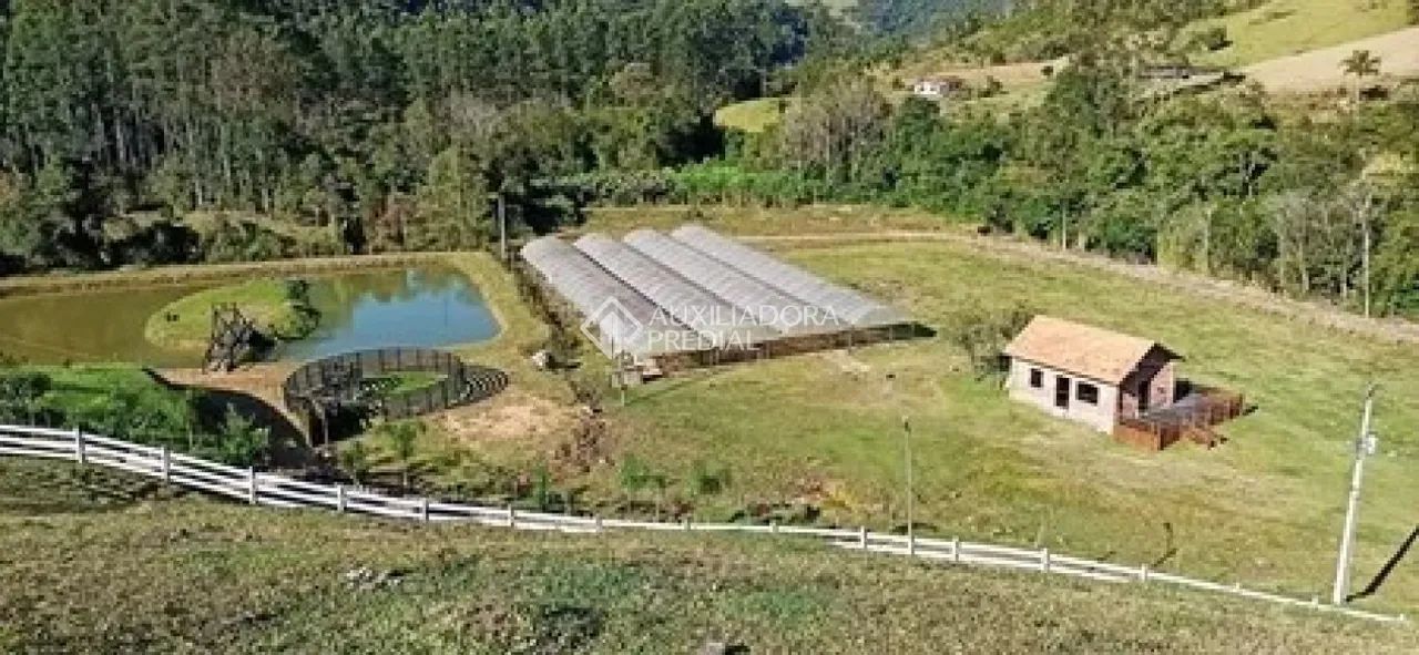 Fazenda porteira fechada com 50 hectares - Foto 2