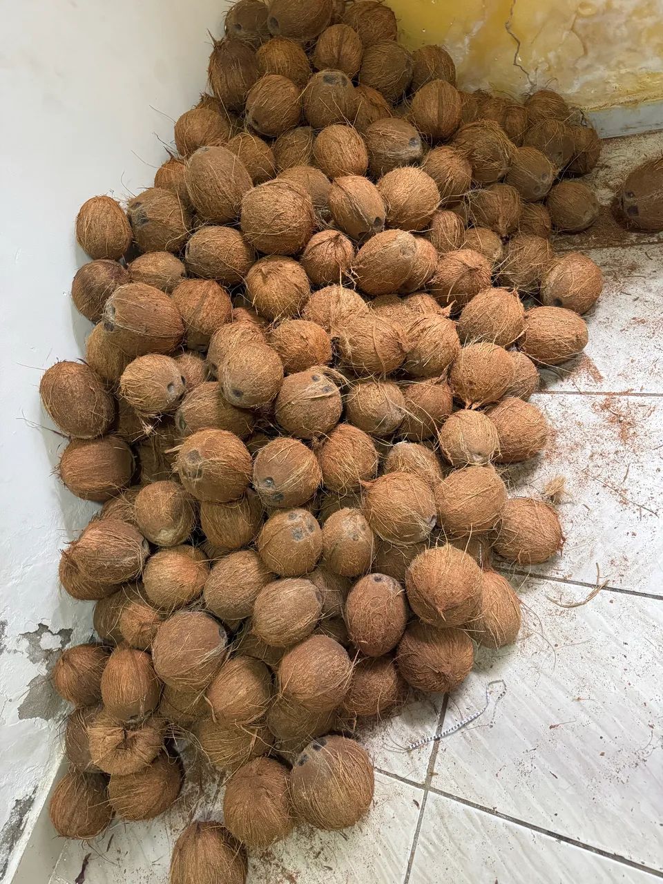 Coco seco kg 3,49