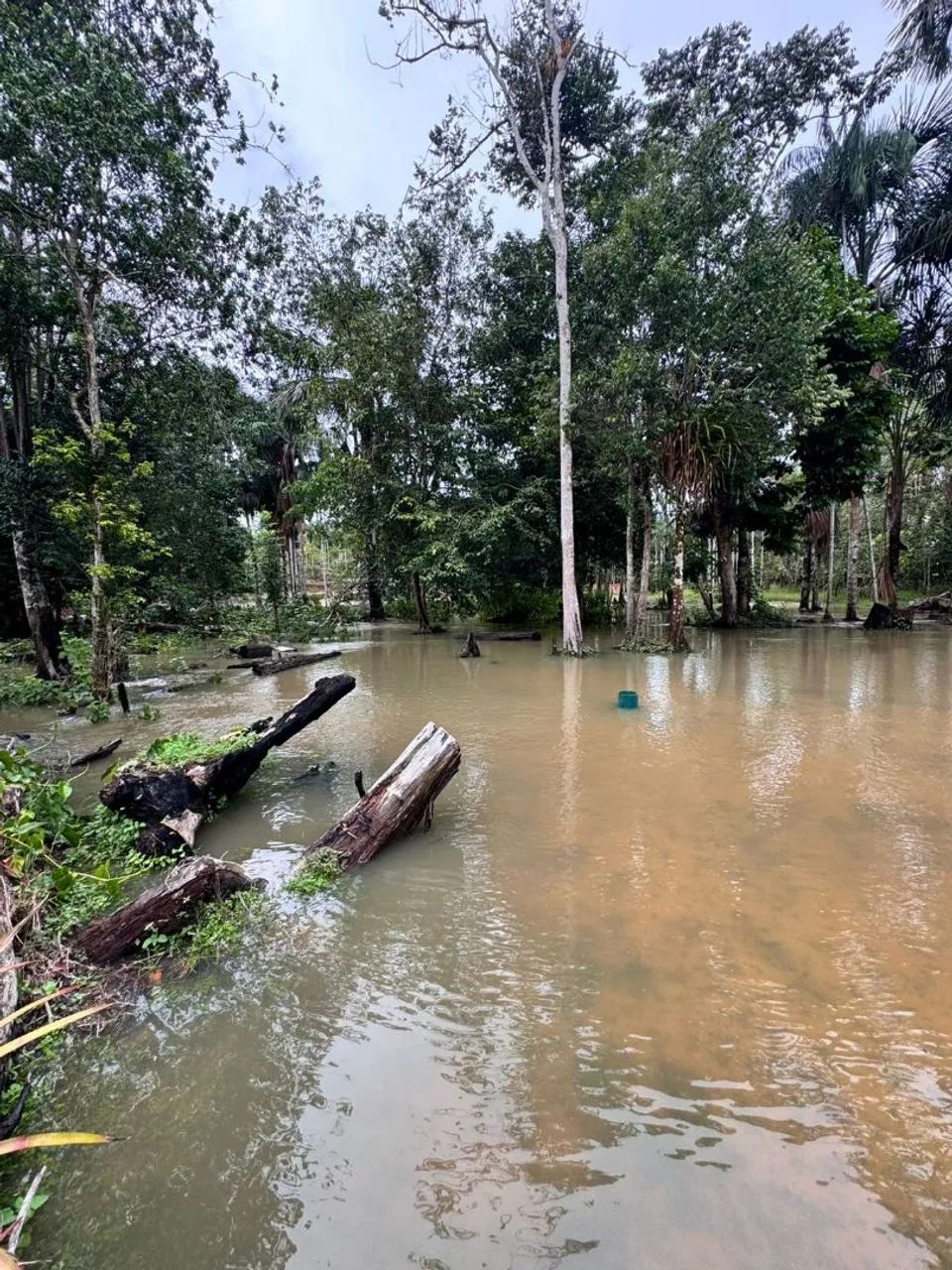 Sítio  a venda aceito negociação  - Foto 2