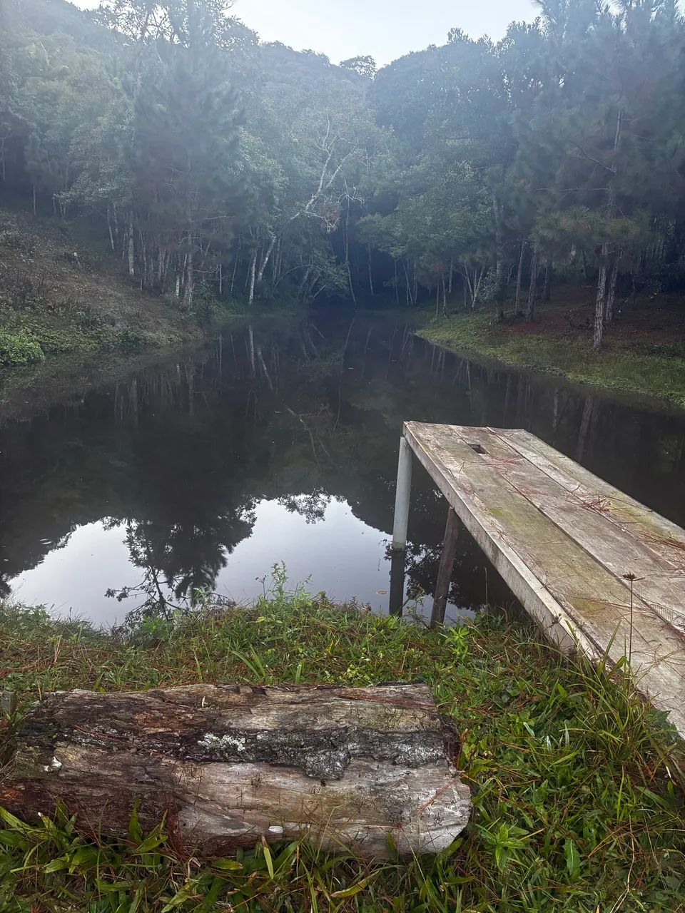 Sítio com lago e nascente 