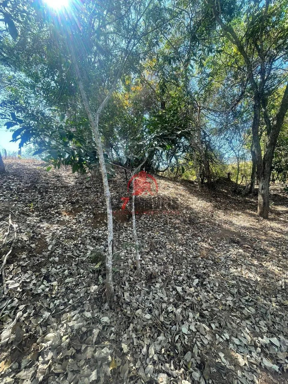 CHÁCARA EM CALDAZINHA DE GOIÁS - Foto 5