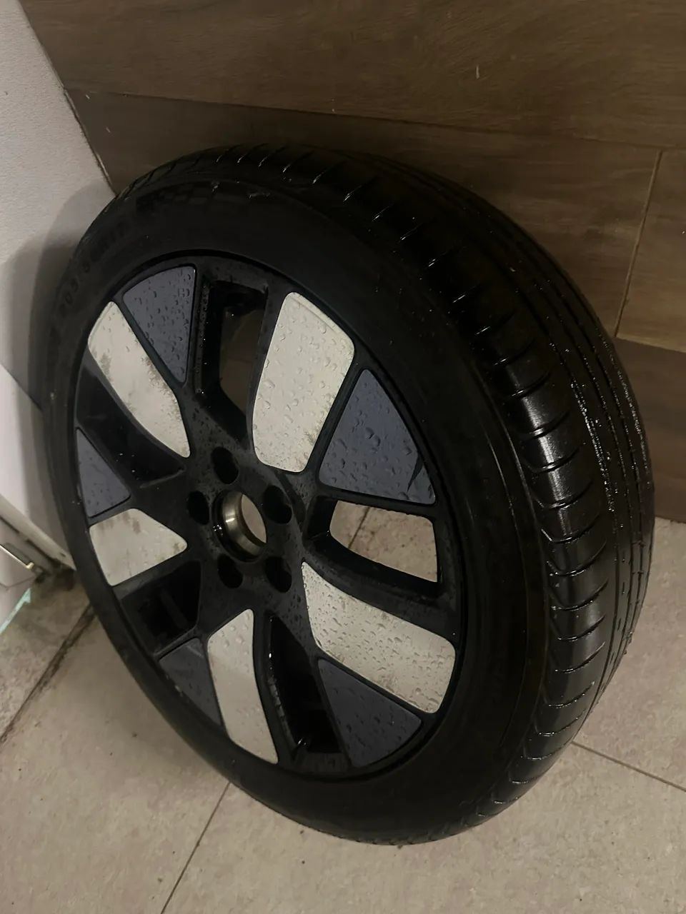 Roda Byd dolfhin plus 