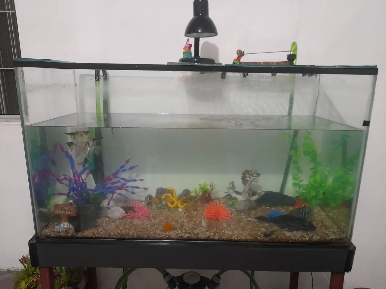 AQUÁRIO COMPLETO  - Foto 3