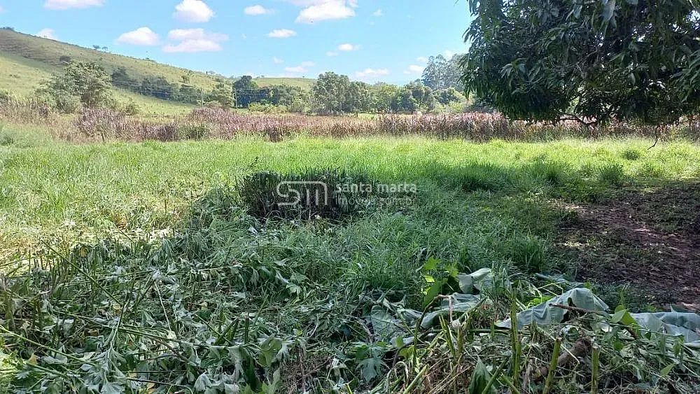 SÍTIO PLANO, COM CASA, PROXIMO À VIA DUTRA  LORENA  SP - Foto 4
