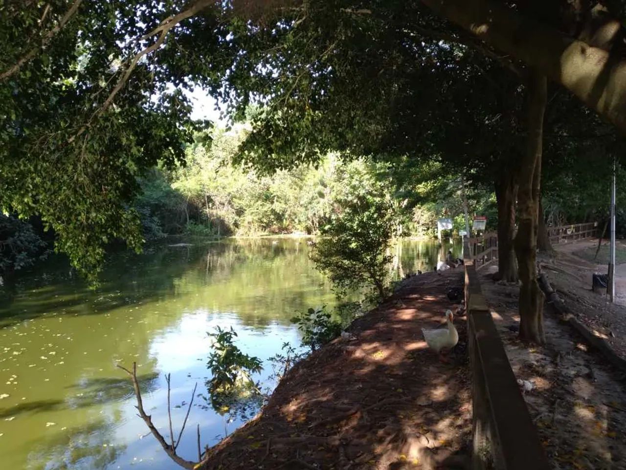 Vendo ou Troco Terreno Consulte - Foto 5