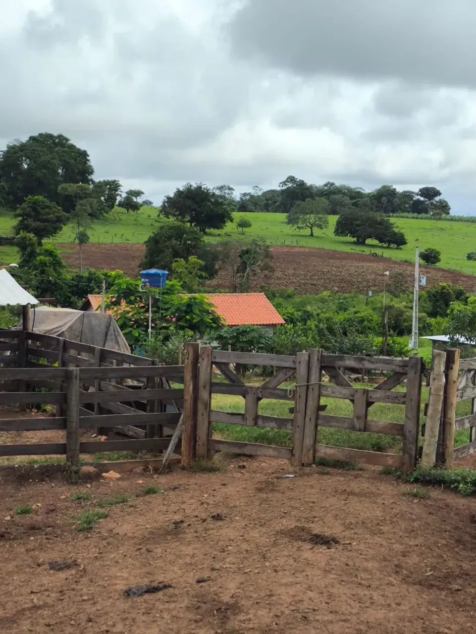 Fazenda - Taquaral (GO) - Foto 5
