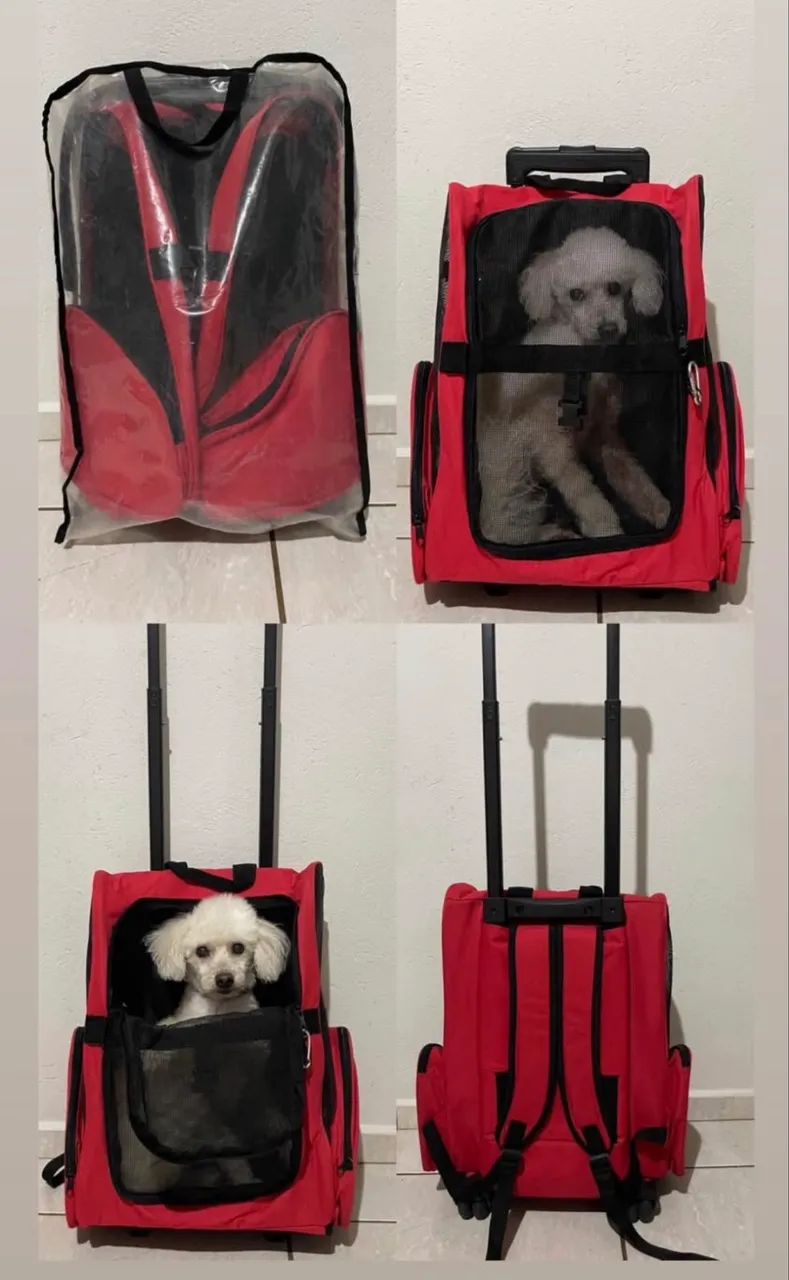 Mochila de rodinha Pet - Foto 2