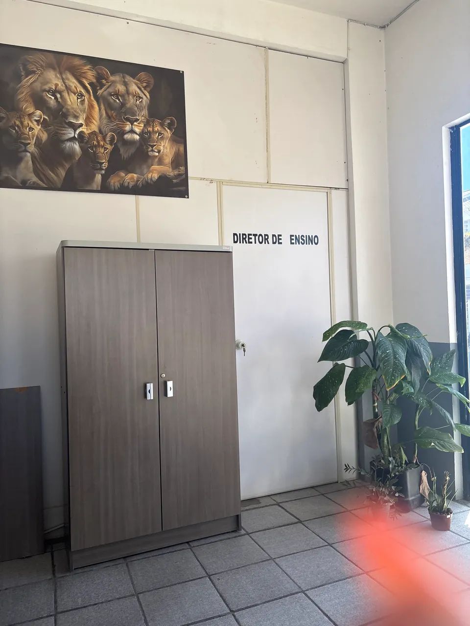 Divisórias - Foto 2