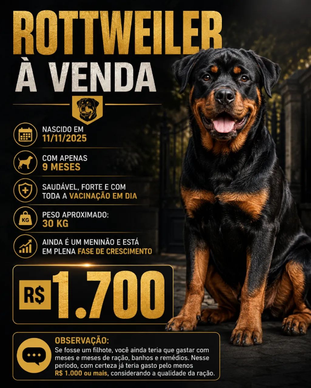 Rottweiler 9 meses