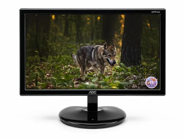Monitor AOC 19 Polegadas e943Fwsk LED VGA
