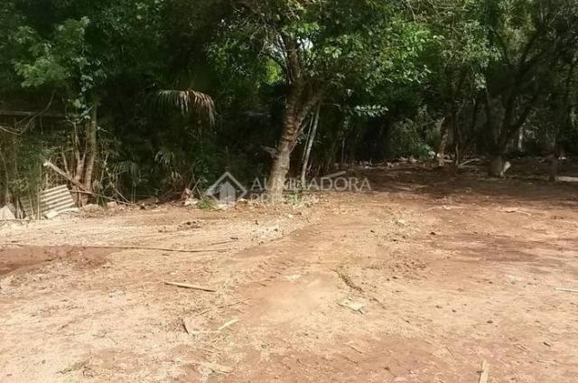 Terreno para alugar em Tristeza, Porto alegre cod:227483 - Foto 4
