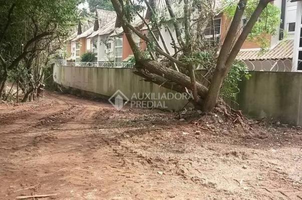 Terreno para alugar em Tristeza, Porto alegre cod:227483 - Foto 3