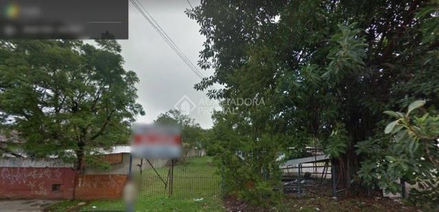 Terreno para alugar em Camaquã, Porto alegre cod:233327