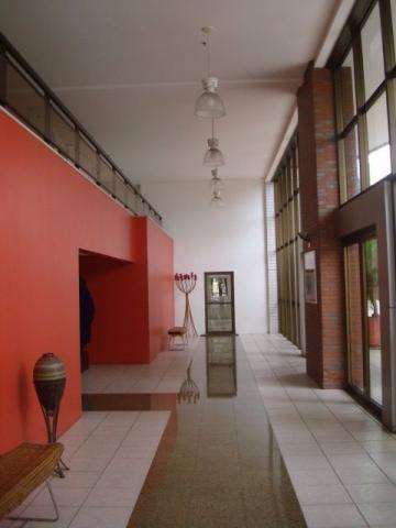 Ed Lucca apartamento amplo e ventilado com localização privilegiada - Foto 10