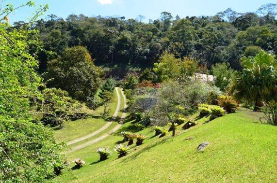 Sítio com 4 dormitórios à venda, 120000 m² por R$ 1.700.000 - Córrego das Pedras - Teresóp - Foto 12