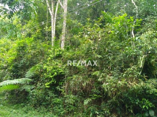 Terreno à venda, 3020 m² por R$ 56.000 - Fazenda Boa Fé - Teresópolis/RJ - Foto 4