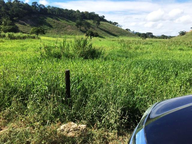 Fazenda 1001 hectares próximo a Teófilo Otoni/MG - Foto 10