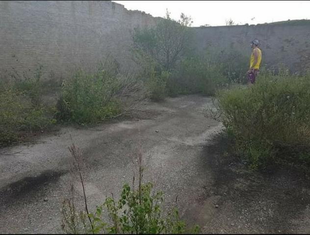 Excelente Propriedade em Belo Jardim, 7,5 hectares - Foto 9