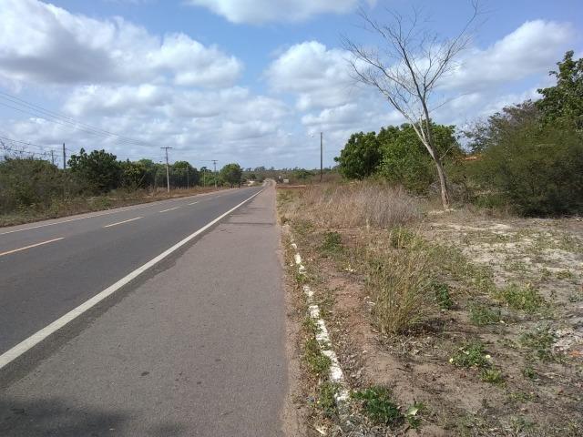 Terreno na baixa da carnaúba no km16 Parnaíba PI - Foto 6