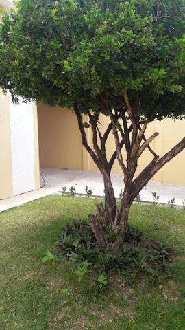Jardim Atlântico Belissíma Casa com Piscina, R$ 380 Mil Facilito - Foto 14