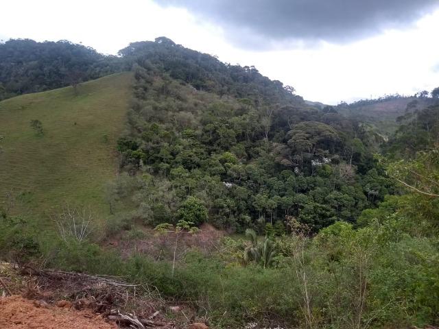 Marechal - Foto 2