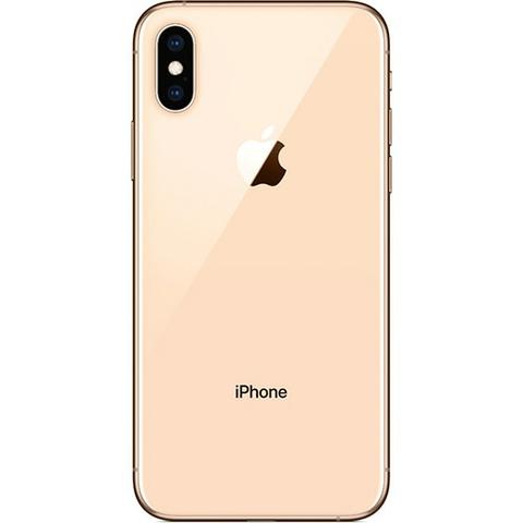 Xs Max Dourado 64g