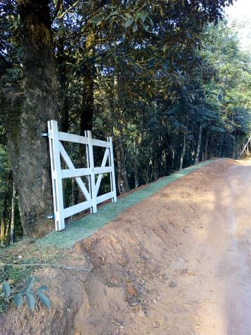 Centro de Marechal Floriano - Foto 4
