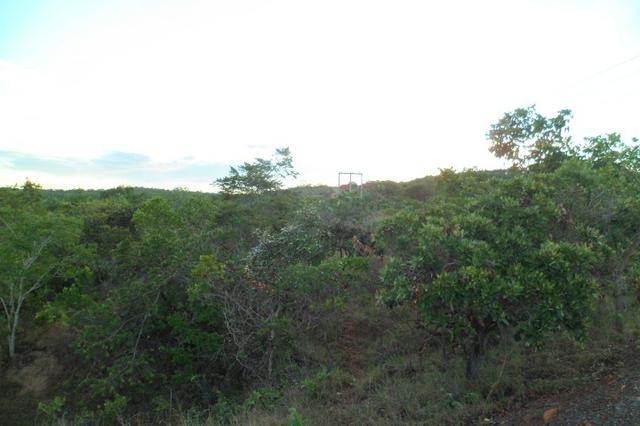 Terras em Formoso MG - Foto 11