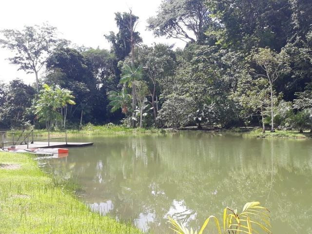 Condomínio Mirante do Lago, apartamento livre, leve e solto! - Foto 12