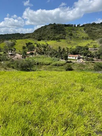 Sítios / Chácaras e propriedades rurais à venda